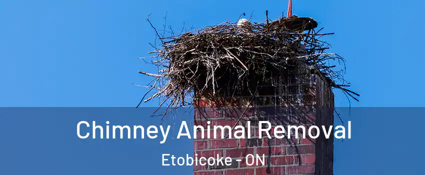 Chimney Animal Removal Etobicoke - ON