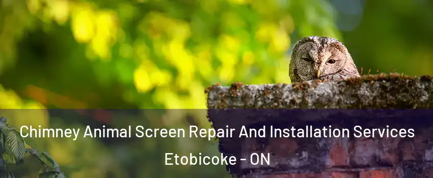  Chimney Animal Screen Repair And Installation Services Etobicoke - ON