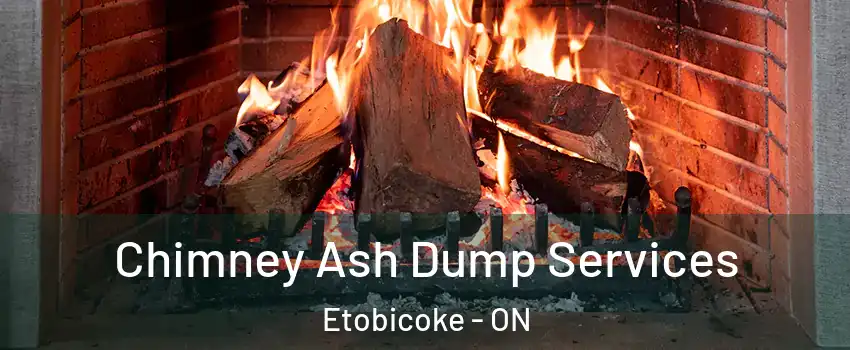  Chimney Ash Dump Services Etobicoke - ON