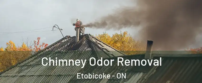  Chimney Odor Removal Etobicoke - ON