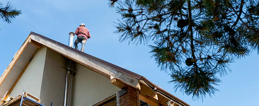 Birds Removal Contractors from Chimney in Etobicoke, ON
