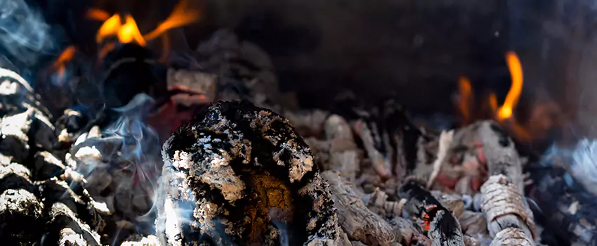 Creosote Removal Experts in Etobicoke, ON