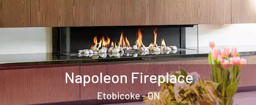  Napoleon Fireplace Etobicoke - ON